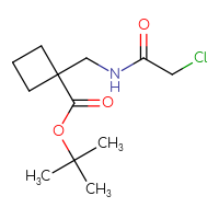 Chemical structure of tert-butyl 1-[(2-chloroacetamido)methyl]cyclobutane-1-carboxylate - CSSB01842698226