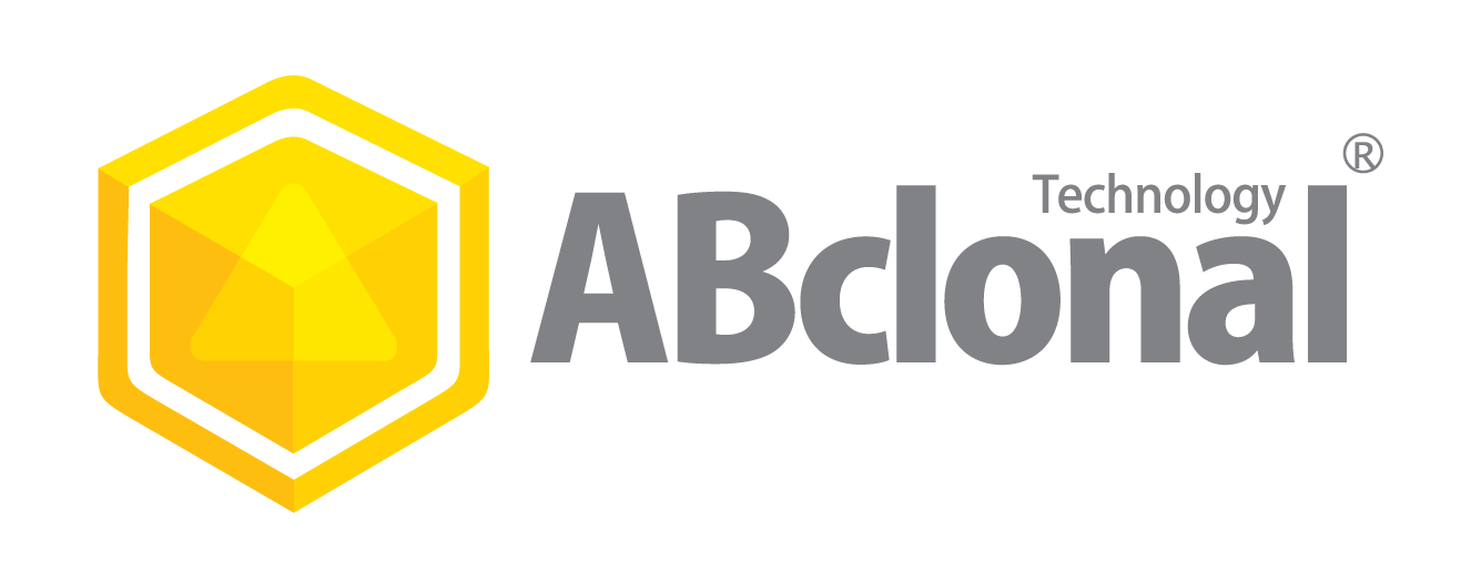 ABclonal Technology